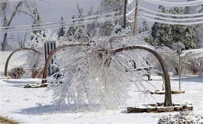 Bão tuyết ở Mỹ, 21 người chết 